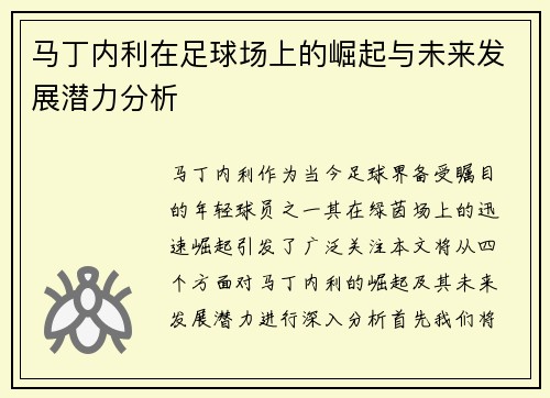 马丁内利在足球场上的崛起与未来发展潜力分析